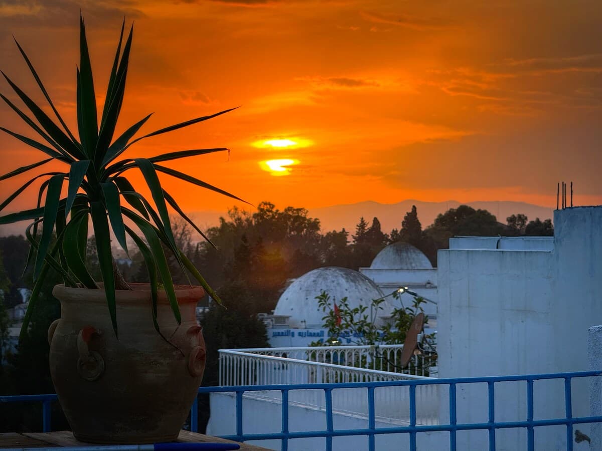 Panoramic blue/private pool in Sidi Bousaid — Sidi Bou Said · Photo 26