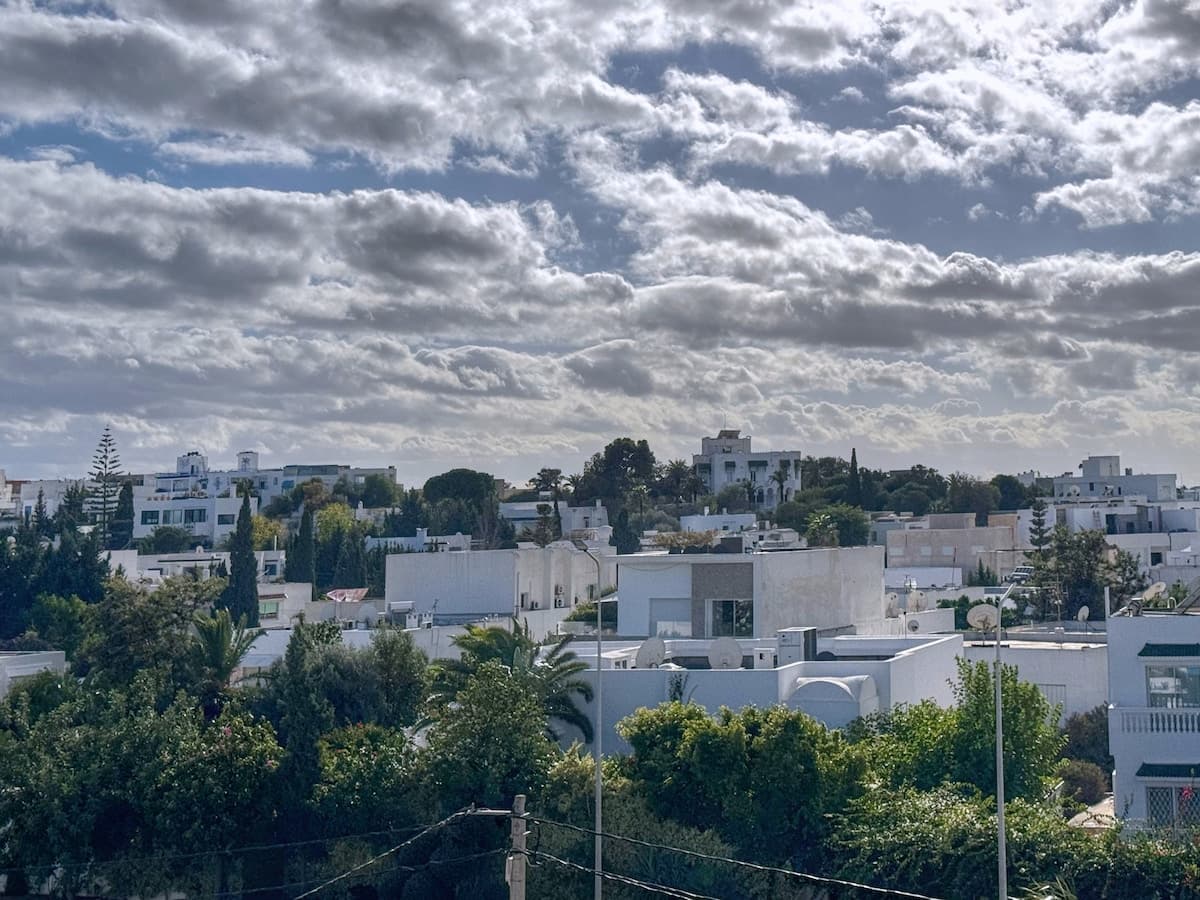 Panoramic blue/private pool in Sidi Bousaid — Sidi Bou Said · Photo 23