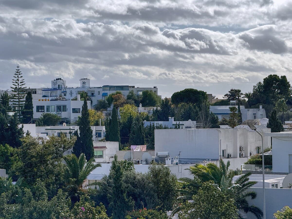 Panoramic blue/private pool in Sidi Bousaid — Sidi Bou Said · Photo 24
