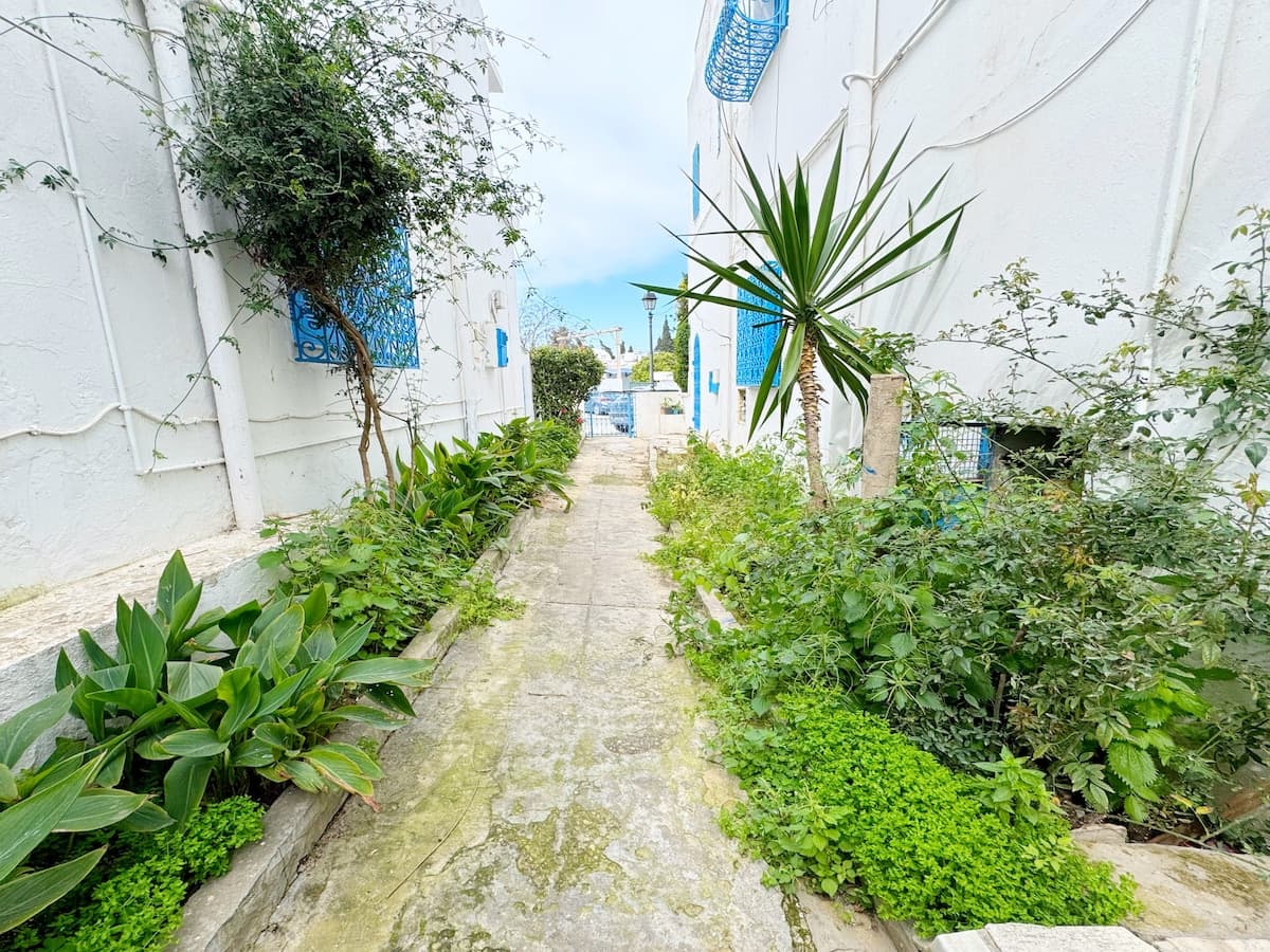 Style loft in Sidi Bou Said — Sidi Bou Said · Photo 22